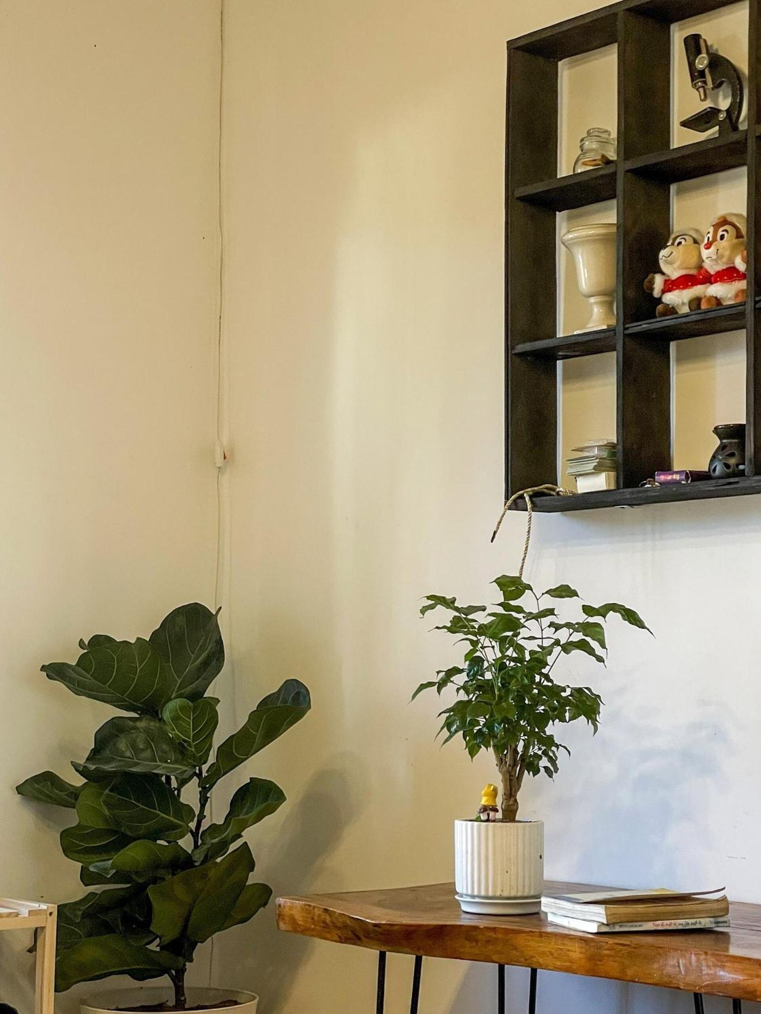 Hat De Homestay Dalat Exterior foto